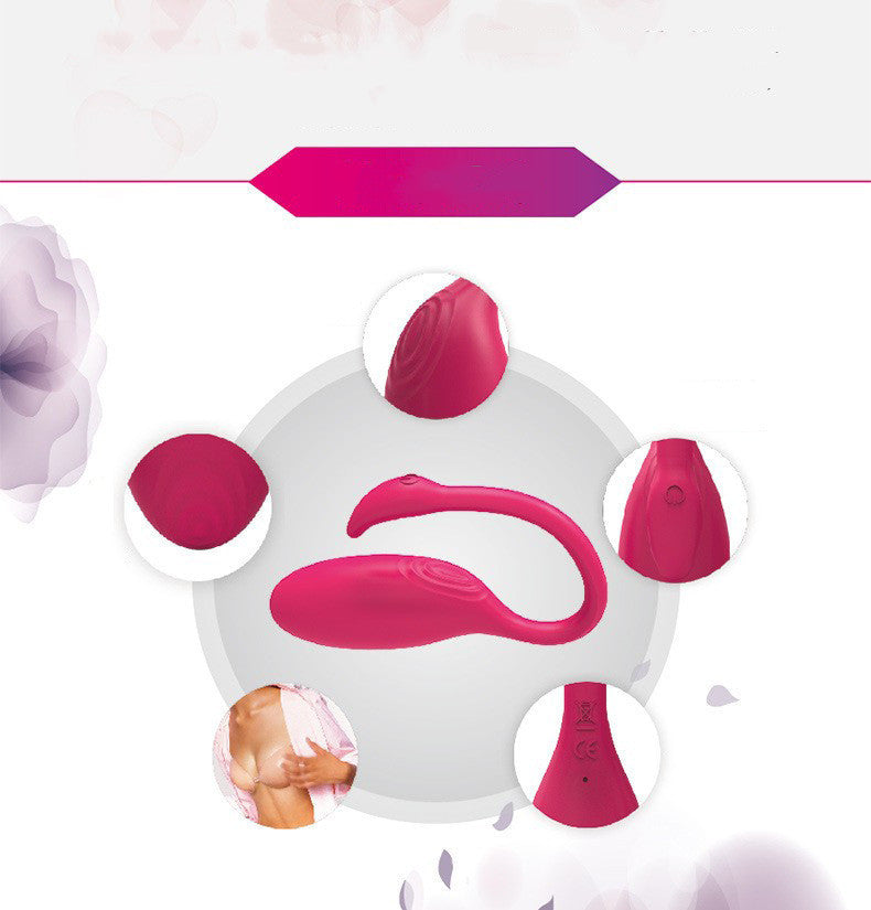 Astrayra™ App-Controlled Panty Vibrator – Black for G-Spot Precision – Vibrators