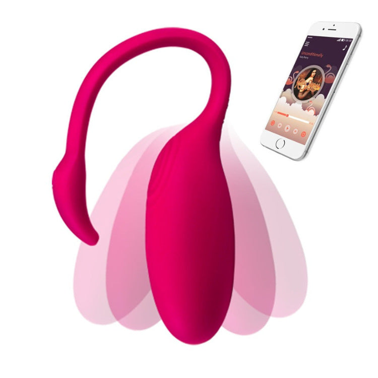 Astrayra™ App-Controlled Panty Vibrator – Black for G-Spot Precision – Vibrators