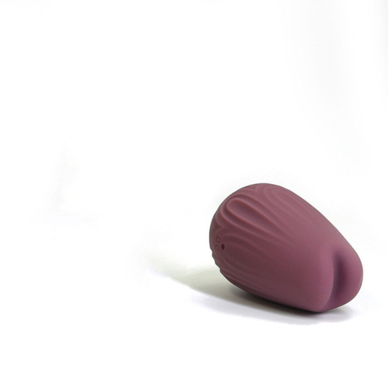 Feteva™ App-Controlled Panty Vibrator – Stainless Steel for Hands-Free Stimulation – Vibrators