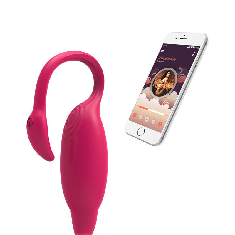 Astrayra™ App-Controlled Panty Vibrator – Black for G-Spot Precision – Vibrators